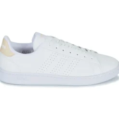 Adidas Sportswear - ADVANTAGE