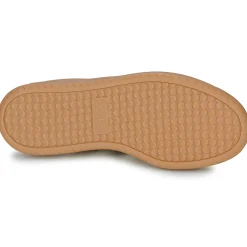 Adidas Sportswear - BARREDA