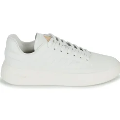 Adidas Sportswear - ZNTASY