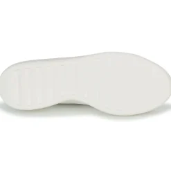 Adidas Sportswear - ZNTASY