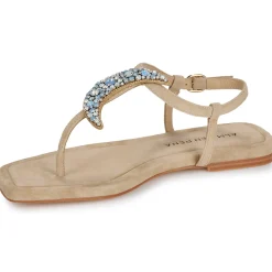 ALMA EN PENA - V251984