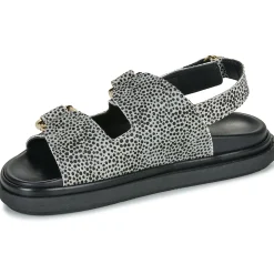 ALOHAS - HARPER SOFT