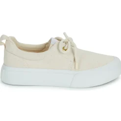 Armistice - ARCO ONE W