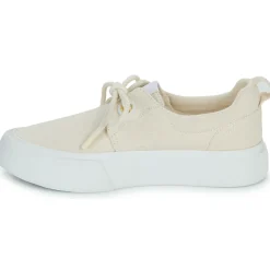 Armistice - ARCO ONE W