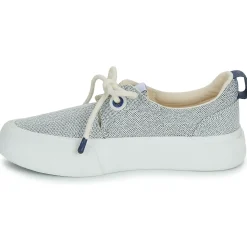 Armistice - ARCO ONE W