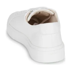 Blackstone - CRAG FINN LOW