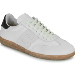 Blackstone - LIME WREN