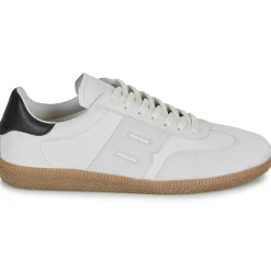 Blackstone - LIME WREN