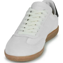 Blackstone - LIME WREN