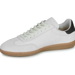 Blackstone - LIME WREN