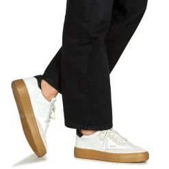 Blackstone - SLATE HARPER