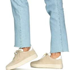 Blackstone - SLATE HARPER