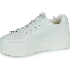 Buffalo - PAIRED BUTTERFLY