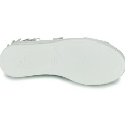 Buffalo - PAIRED BUTTERFLY