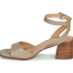 Bullboxer - 202000F2S