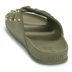 Cacatoès - FLORIANOPOLIS