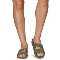 Cacatoès - FLORIANOPOLIS