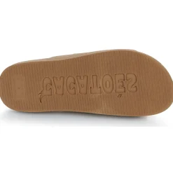 Cacatoès - FLORIANOPOLIS