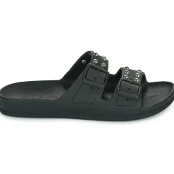 Cacatoès - FLORIANOPOLIS