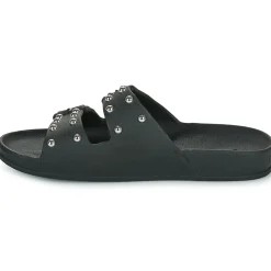 Cacatoès - FLORIANOPOLIS