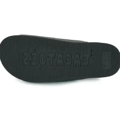 Cacatoès - FLORIANOPOLIS