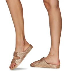 Cacatoès - TRANCOSO