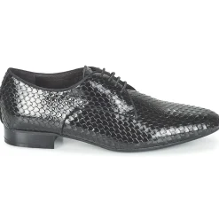 Café Noir - BARNARD