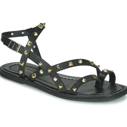 Café Noir - C1GD1040