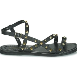 Café Noir - C1GD1040