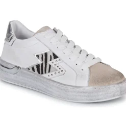 Café Noir - DS1616-S022