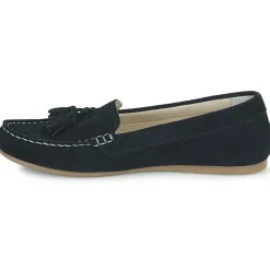 Casual Attitude - GATOE