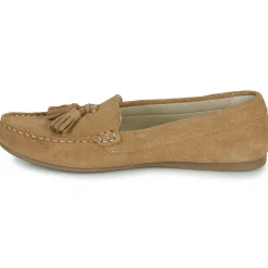 Casual Attitude - GATOE