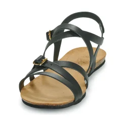 Casual Attitude - ILMEM