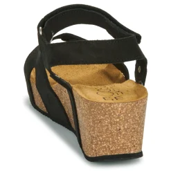 Casual Attitude - IPILAME