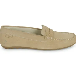 Casual Attitude - ISAWA