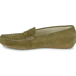 Casual Attitude - ISAWA