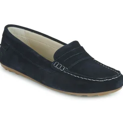 Casual Attitude - ISAWA