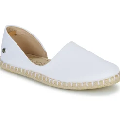 Casual Attitude - JALAYIVE