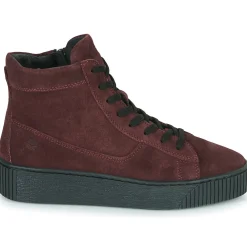 Casual Attitude - NOLWEN