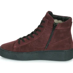 Casual Attitude - NOLWEN