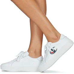 Champion - ERA LEATHER