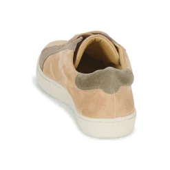 Dream in Green - ACANTHE