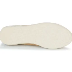 Dream in Green - ACANTHE