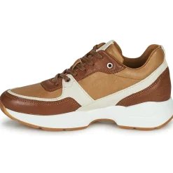 Dream in Green - AGAPANTHE