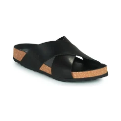 Dream in Green - AGAVE