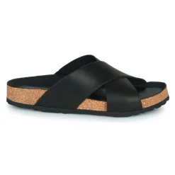 Dream in Green - AGAVE