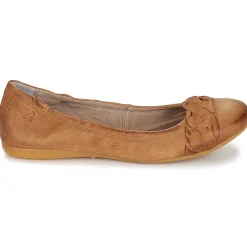 Dream in Green - CICALO