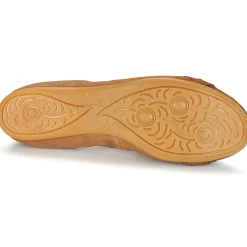 Dream in Green - CICALO