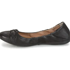 Dream in Green - CICALO