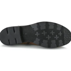 Dream in Green - FOMENTANA